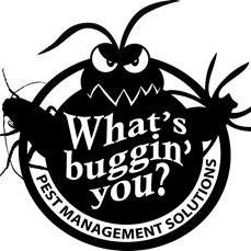 What's Buggin' You?