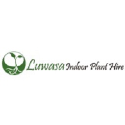 Luwasa Indoor Plant Hire